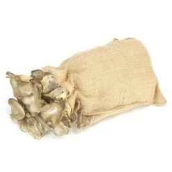 Forside 28 Blue Oyster Mushroom Kit In Burlap