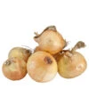 Onion Sets Dutch - Yellow Stuttgarter (Pack Of 75)