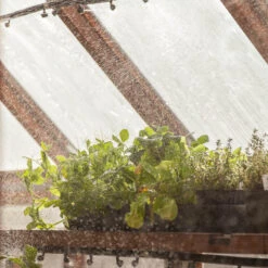 Fogger Mister 5 Fogger Mister -PlanteShop Salgsbutik ire200 iu 2 1