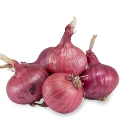 Onion Sets - Red