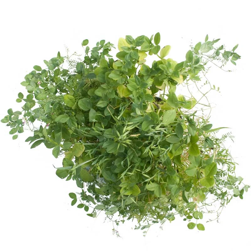 Peaceful Valley Premium Soil Builder Mix - Raw Seed (lb) 3 Peaceful Valley Premium Soil Builder Mix - Raw Seed (lb) - Billede 3