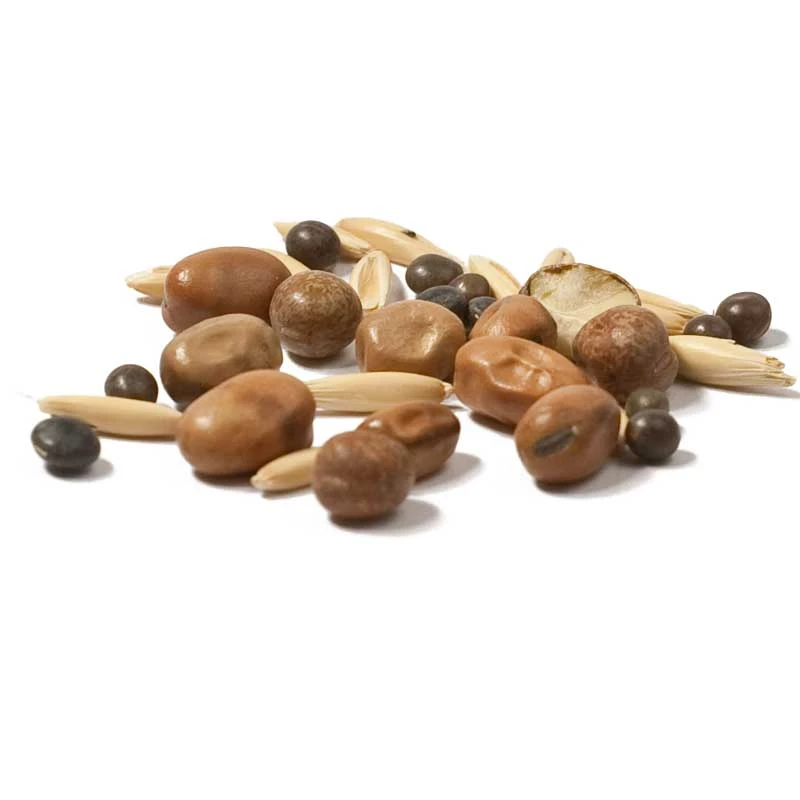 Peaceful Valley Premium Soil Builder Mix - Raw Seed (lb) 4 Peaceful Valley Premium Soil Builder Mix - Raw Seed (lb) - Billede 4