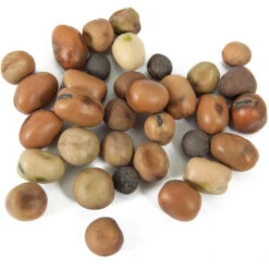 Peaceful Valley Nitro-Max Plow Down Mix Seed (lb) 5 Peaceful Valley Nitro-Max Plow Down Mix Seed (lb) -PlanteShop Salgsbutik scm360 1