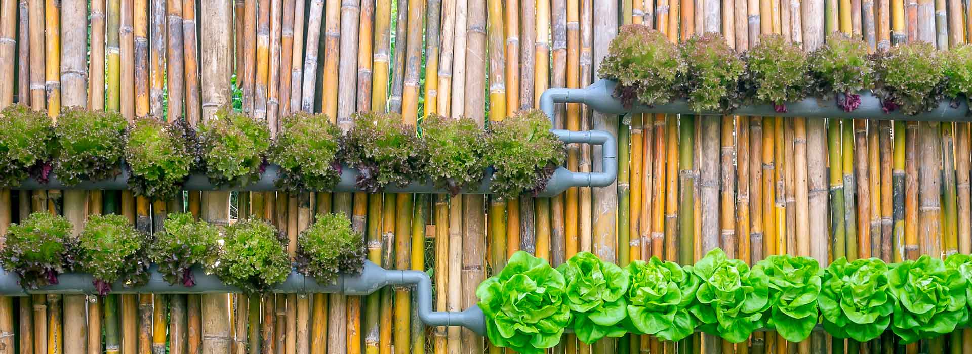 Forside -PlanteShop Salgsbutik banner633